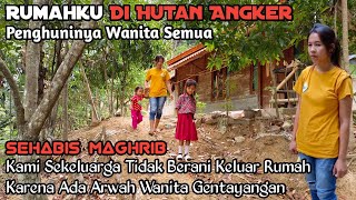 Rumahku Di Hutan, Wanita Cantik Tinggal Sendirian Kalau Maghrib Kami Tidak Berani Keluar Rumah Kang