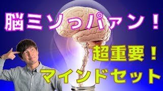 【成功法則】マインドセットのたった2つのやり方を紹介｜自分の潜在意識にすり込め！