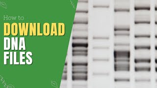 How to Download RAW DNA Files | Genetic Genealogy Explained