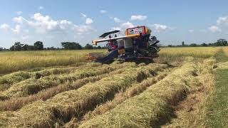 จัดเต็มสูบ จ้าวพายุ เดี่ยวทรนง รถเกี่ยวนวดข้าว ไทยเส็งยนต์ harvester