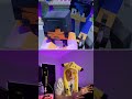 Sound effects of [MINECRAFT] 💜 Aphmau IS HURT! #animated #shorts