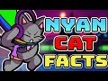 Top Nyan Cat Facts in fnf  (VS Nyan Cat)