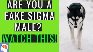 11 Signs You’re A Fake Sigma Male (NOW)