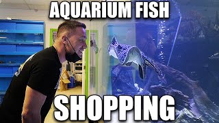 Let's shop for aquarium fish!!