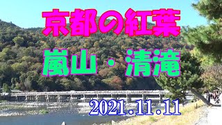 京都の紅葉　嵐山・清滝　2021 11 11