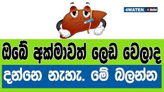 ඔබේ අක්මාවත් ලෙඩ වෙලාද දන්නෙ නෑ : How to test your liver (2019)