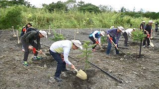 尼伯特襲台東吹倒百萬棵樹木 仍在復育中 20190309 公視中晝新聞