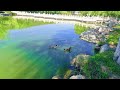 秋天的天津北寧公園 tianjin beining park in autumn