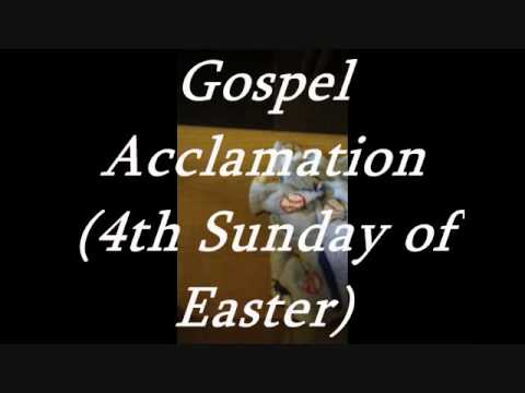 Gospel Acclamation 4th Sunday Of Easter C Alstott - YouTube