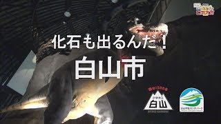 白山市　不思議な呪文～○○も出るんだ！白山市～（第17回HABふるさとCM大賞　2018）