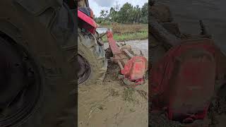 Massey Tractor rotating grass in field #tractor #Excavator #farming