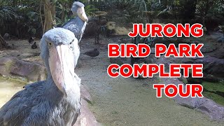 Complete Tour of Jurong Bird Park || Walking Singapore