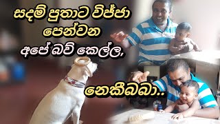 සදම් පුතාට විජ්ජා පෙන්වන අපේ නෙකීබබා..