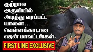 அருவியில் அடித்து வரப்பட்ட யானை | வெள்ளக்காடான தென் மாவட்டங்கள் | RAIN ELEPHANT