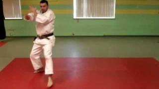 Bassai Kata -  Wado Ryu Karate