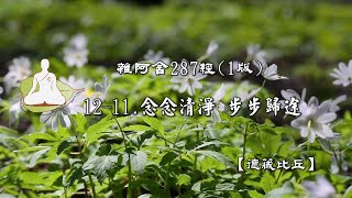 雜阿含287經(1版)12-11.念念清淨 步步歸途[德藏比丘]