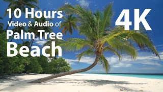 4K UHD 10 hours - Tropical Beach \u0026 Gentle Birds/Waves Audio window - relaxing, meditation, nature