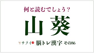 【サライ脳トレ漢字86】「山葵」は何と読む？