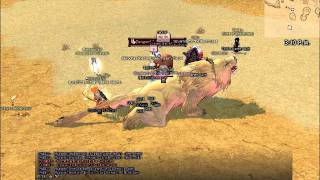 Mabinogi - Giant Lion Summoned 2 Filia