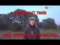 Past Tense Top Tips SOLER  LightSpeed Spanish