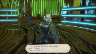 【FFXIV】アニマウェポンストーリー　―アルマス\u0026アンキレー・コンダクト―