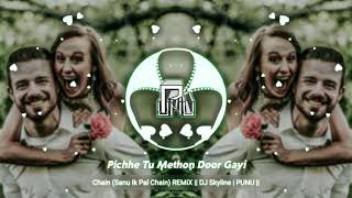 Chain (Sanu Ik Pal Chain) REMiX || DJ Skyline | PUNU || [ Lyrics ]