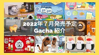 2022年7月発売予定 ガチャガチャ紹介②🐹🌈