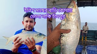 ইলিশের বাড়ি কোথায় ভোলা নাকি চাঁদপুর Home of Hilsa fish