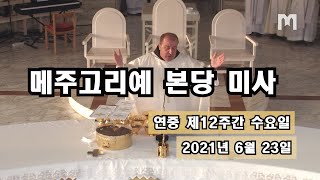 메주고리예 본당미사-21년 6월 23일 연중 제 12주간 수요일