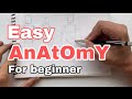 Easy Anatomy my style for beginner 🧑🏻‍🎨🎨🙆🏻‍♂️