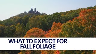 Expect "brilliant" fall foliage; here's why | FOX6 News Milwaukee