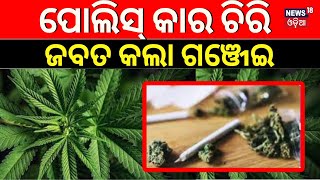 ଦୁଇଟି କାର ଭିତରୁ ମିଳିଲା ପୁଳାପୁଳା Cannabis ଜବତ | Breaking News | Odia News