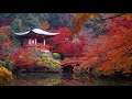 Vincent Ingala - Personal Touch