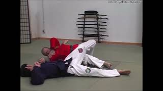 18d - WJJF  / JUKO RYU Jujutsu - Kata / Techniques for blue belt (by MAURIZIO SILVESTRI)