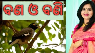 ବଣ ଓ ବଣି | Bana O Bani | Odia Kids Poem