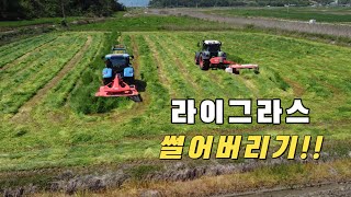 FENDT712 NEW Holland T6050 휀트712 측방 뉴홀랜드 6050 후방 라이그라스 예취작업!!