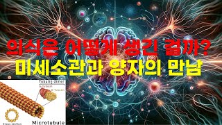 의식의 비밀을 풀다: 뇌의 미세소관과 양자 이론