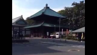 #TravelLife - Walking to Ikegami Honmon-ji Temple in Ota Pt. 1