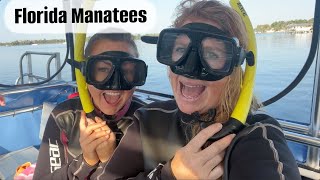 Swimming  with Florida MANATEES!