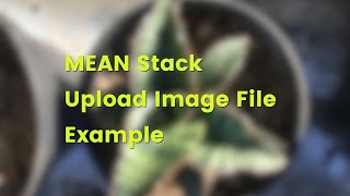 MEAN Stack (Angular 10) Tutorial: Upload Image File