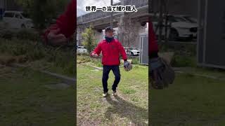 【世界一の当て捕り職人】#short #baseball #野球