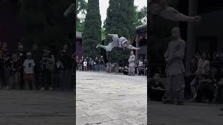 Shaolin Dog Fist Demonstration