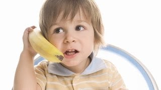 HOW TODDLERS THRIVE, Dr. Tovah Klein Explains
