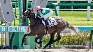 2歳新馬　ダ1800m (右) 　ネオシルバー　牡2　55.0　田辺裕信　2023.9.10　　出走馬：リアルファインド、サミアド、ディアスポラ、ヘヴンリーハンド、モデルハント、マジックモーメント他