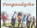 Ngatisunge Ukama - Pengaudzoke