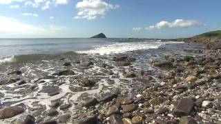 Living Seas - marine conservation in the UK with The Wildlife Trusts