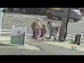 Man In Custody After Attempted Kidnapping Of Child