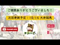 【高知競馬10 13】データ分析による推奨レース紹介！