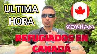 🚨 QUIERES ENTRAR A CANADÁ COMO REFUGIADO POR VIA TERRESTRE??? LES CUENTO!!! 🚨