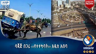 ባጃጅ በጋሪ ‹‹የተተካባት›› አዲስ አበባ#asham_tv